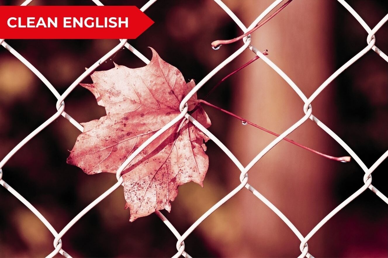 Business English: fluency e speaking bloccato rappresentati da una foglia intrappolata in una rete